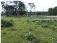 1 Craig Street, Lake Conjola NSW 2539