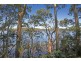 44 Kings Point Drive, Kings Point NSW 2539