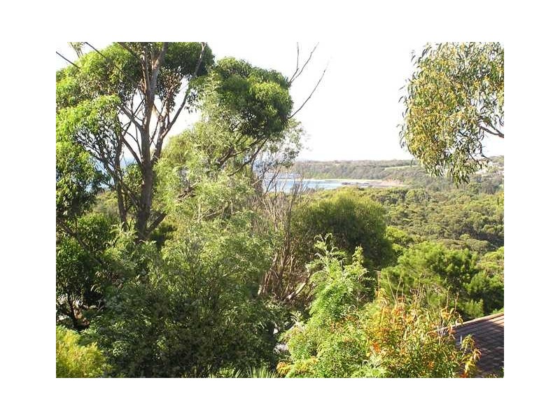 16 Braidwood Ave, Burrill Lake NSW 2539