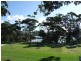 Van 42 Headland Caravan Park, Ulladulla NSW 2539