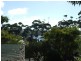 Van 42 Headland Caravan Park, Ulladulla NSW 2539