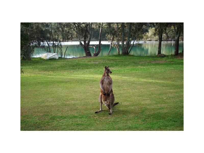 3 Garrad Way, Lake Conjola NSW 2539