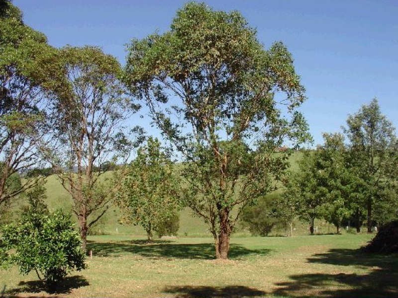 Lot 6 Payten Ave, Milton NSW 2538