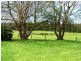 223 Murramarang Road, Bawley Point NSW 2539