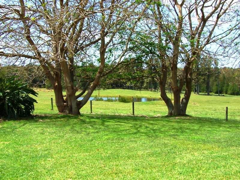 223 Murramarang Road, Bawley Point NSW 2539