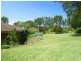 223 Murramarang Road, Bawley Point NSW 2539