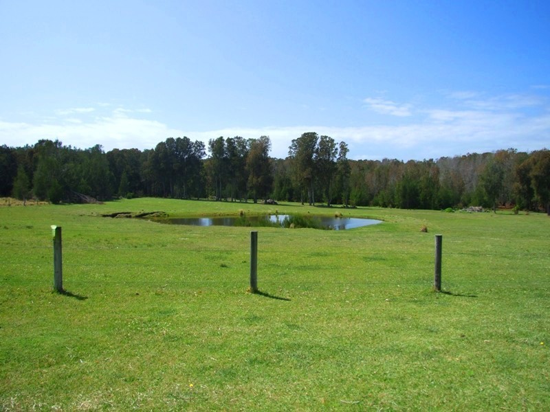223 Murramarang Road, Bawley Point NSW 2539