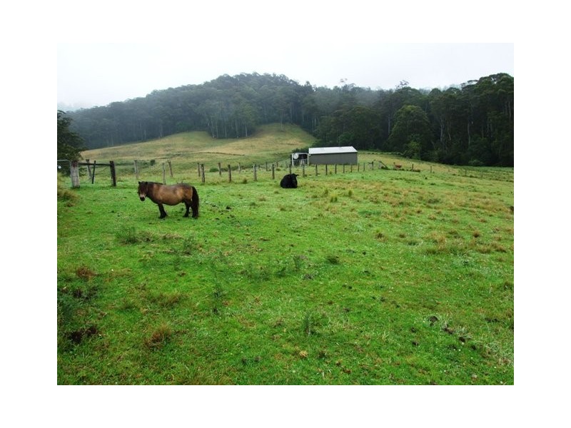 Lot 4 Princes Highway, Termeil NSW 2539