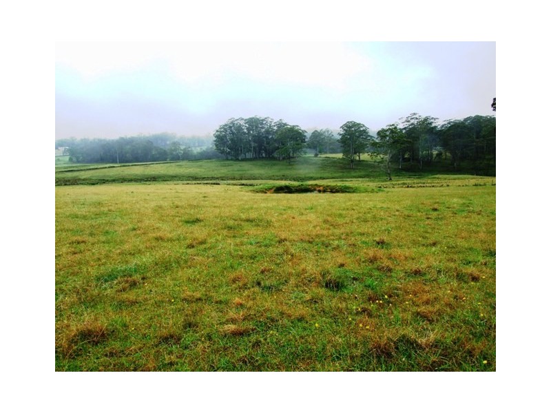 Lot 2 Princes Highway, Termeil NSW 2539