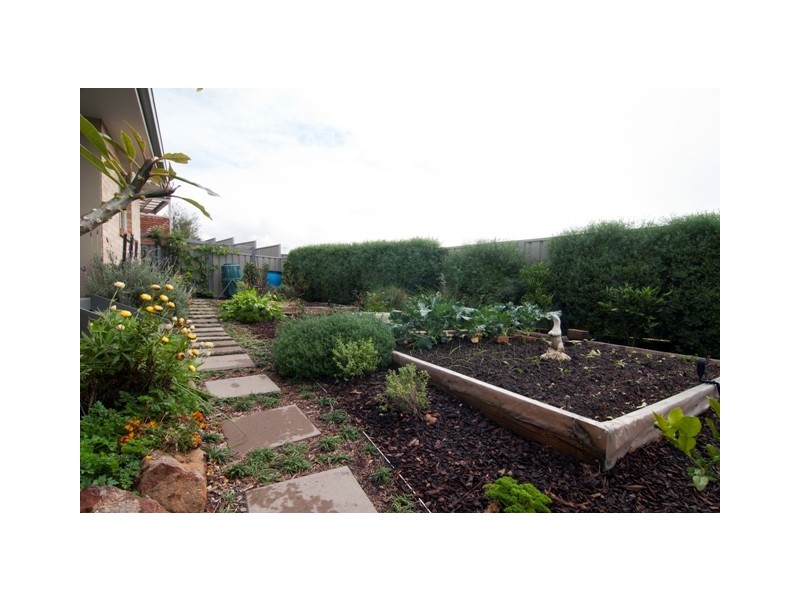 33 Mison Circuit, Mollymook NSW 2539