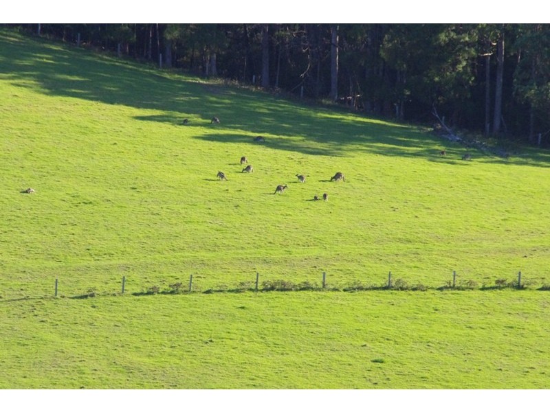 Lot 9 Fishermans Paradise Rd, Conjola NSW 2539