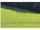 Lot 9 Fishermans Paradise Rd, Conjola NSW 2539