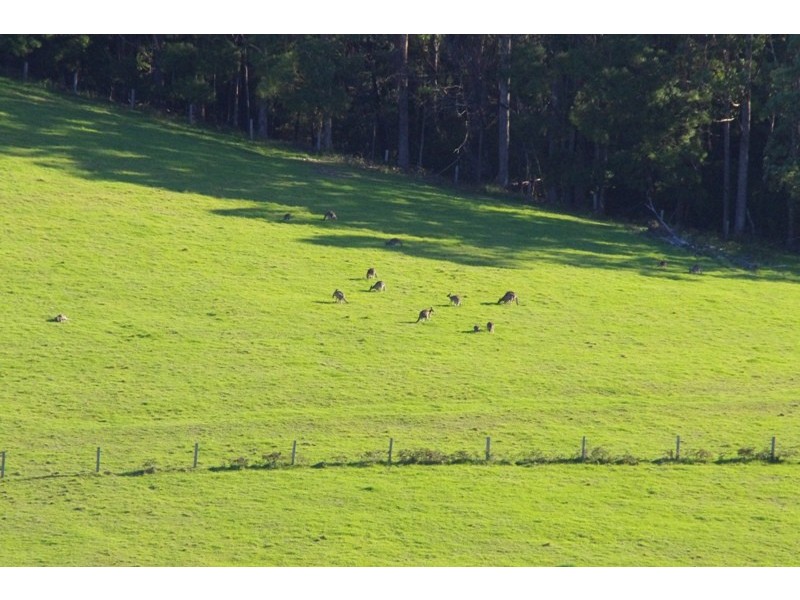 Lot 9 Fishermans Paradise Rd, Conjola NSW 2539