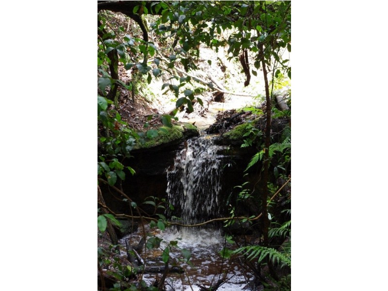 Lot 5 Kyeema Drive, Milton NSW 2538