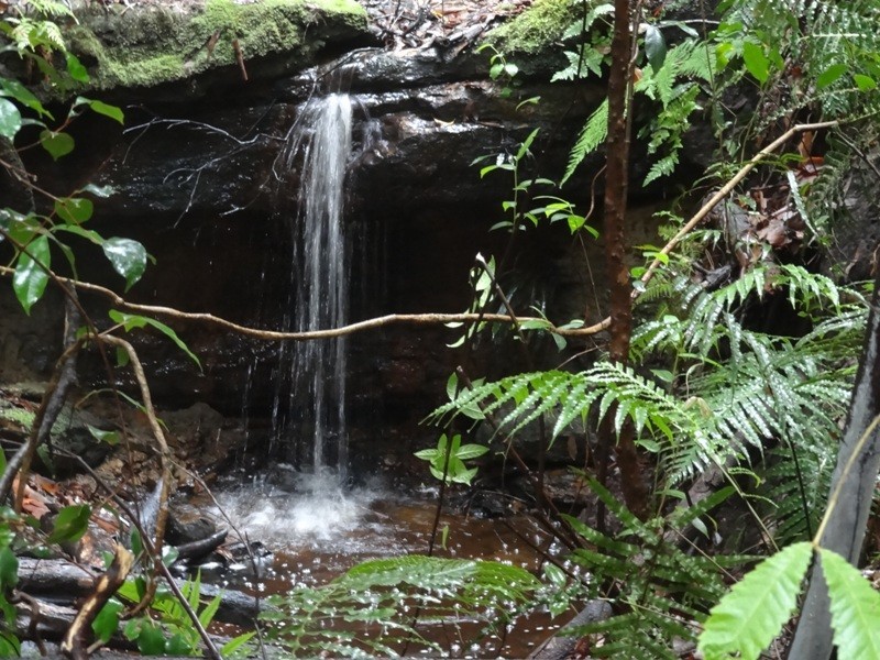 Lot 5 Kyeema Drive, Milton NSW 2538