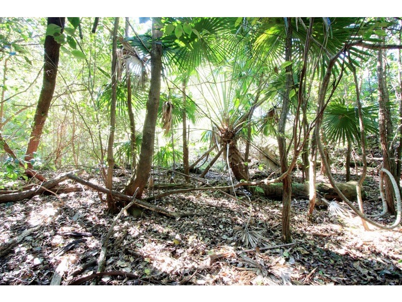 Lot 5 Kyeema Drive, Milton NSW 2538