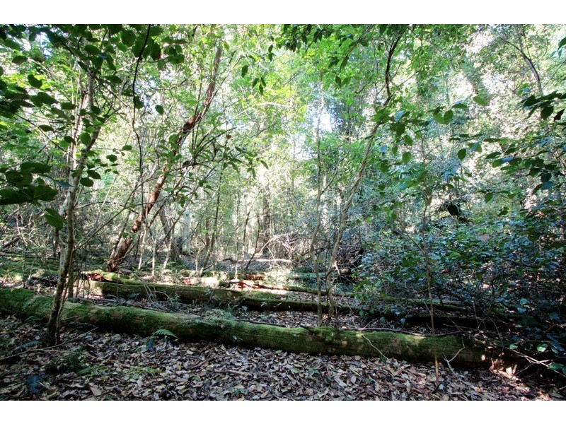 Lot 5 Kyeema Drive, Milton NSW 2538