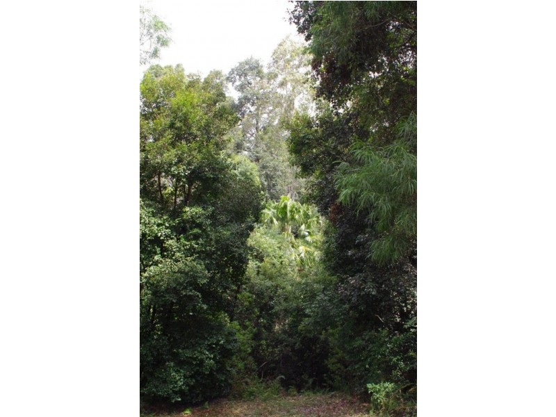 Lot 5 Kyeema Drive, Milton NSW 2538