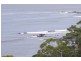 27 Pengana Crescent, Mollymook NSW 2539