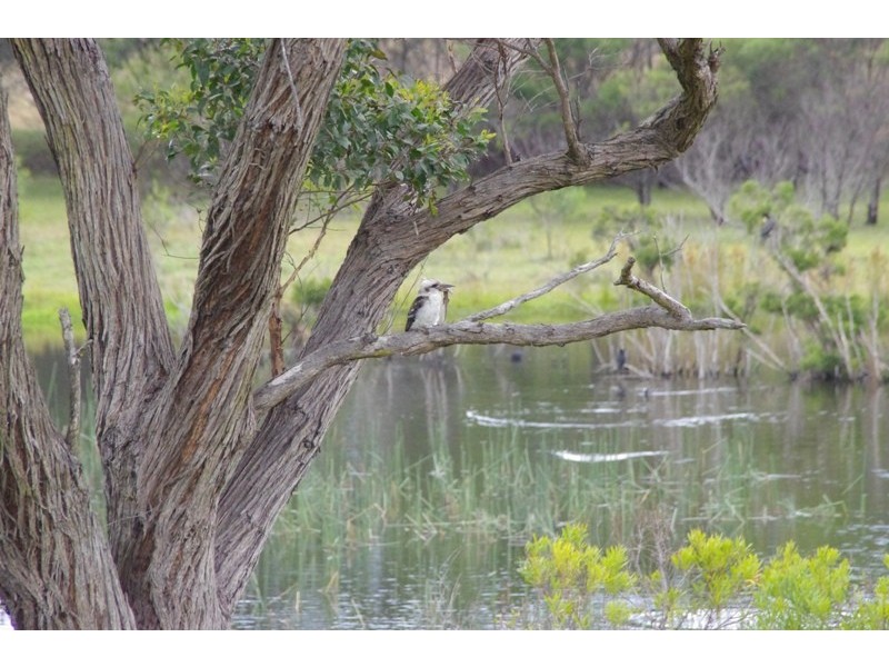 Lot 21 Bada Crescent, Dolphin Point NSW 2539