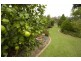 6 Callemondah Close, Narrawallee NSW 2539