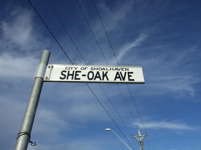 1 She Oak Avenue, Ulladulla NSW 2539