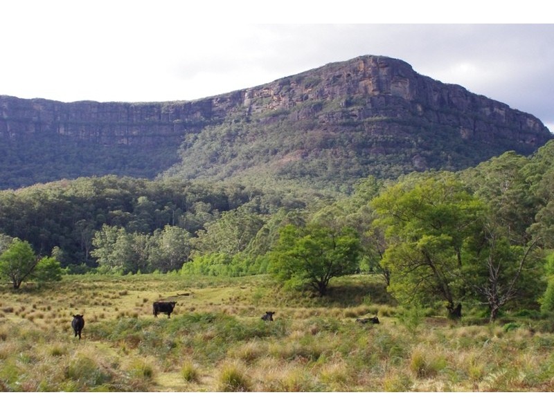 Lot 1 Yadboro Road, Yadboro NSW 2539