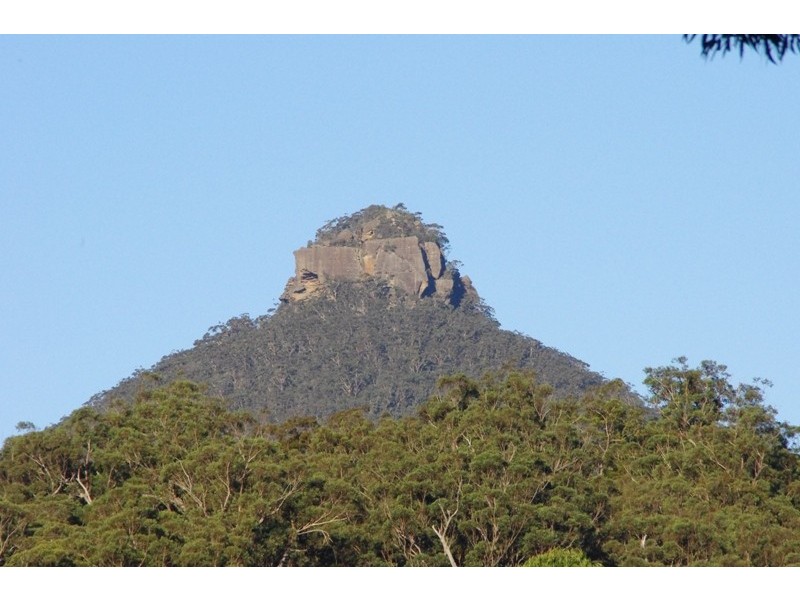 Lot 1 Yadboro Road, Yadboro NSW 2539