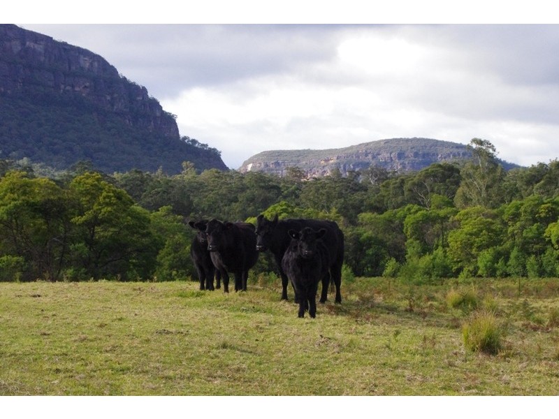 Lot 1 Yadboro Road, Yadboro NSW 2539