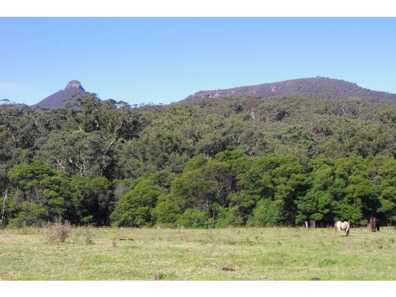 Portion 5 Yadboro Road, Yadboro NSW 2539