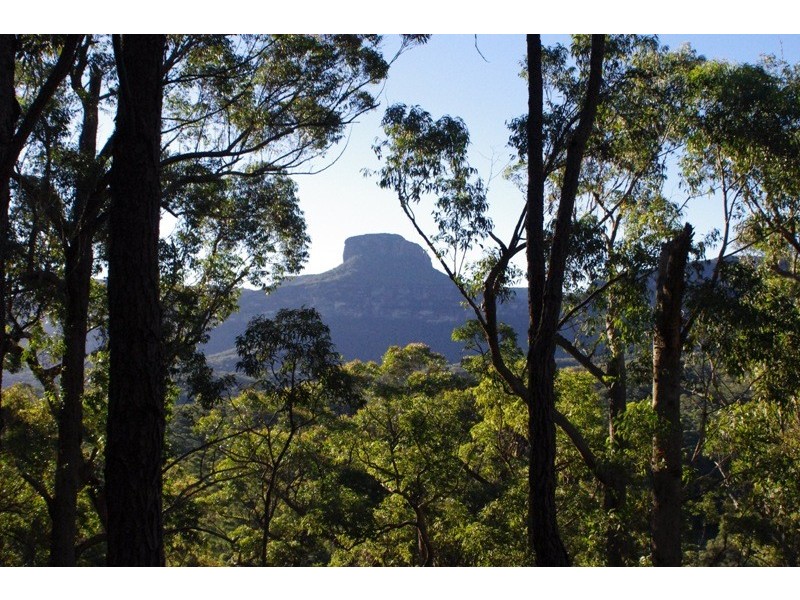 Portion 5 Yadboro Road, Yadboro NSW 2539