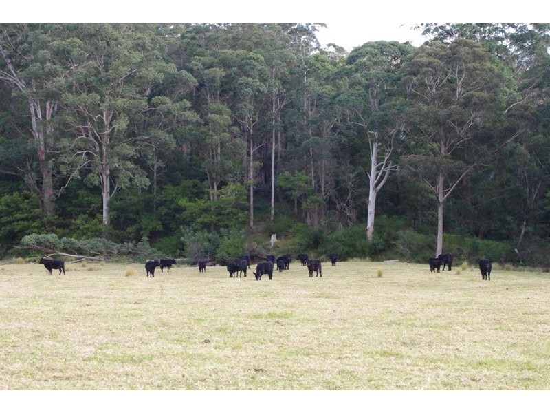 Portion 5 Yadboro Road, Yadboro NSW 2539