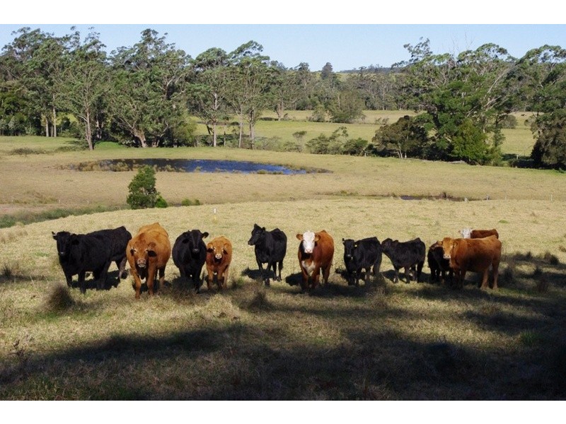 123,146,148 Princes Highway, Conjola NSW 2539