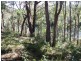 Lot 16 The River Road, Brooman NSW 2538