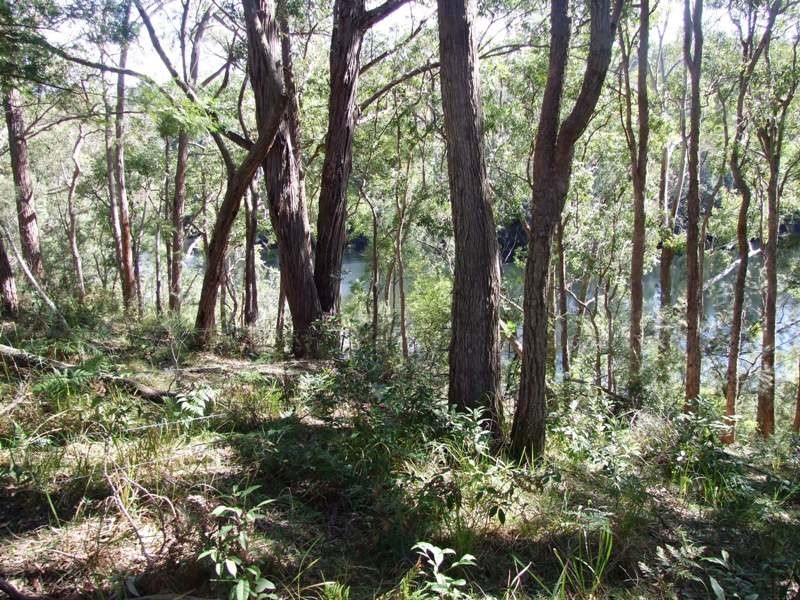 Lot 16 The River Road, Brooman NSW 2538