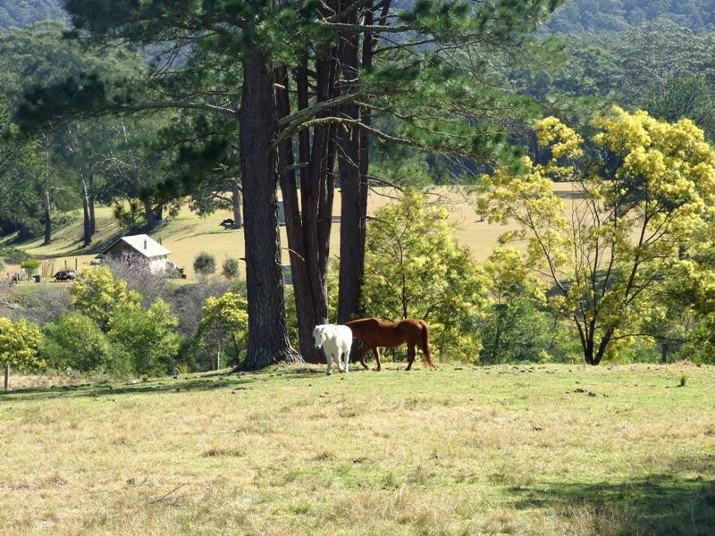 Lot 16 The River Road, Brooman NSW 2538