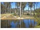 Lot 12 Clyde Ridge Road, Morton NSW 2538