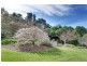 51 Garrads Lane, Milton NSW 2538