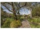51 Garrads Lane, Milton NSW 2538