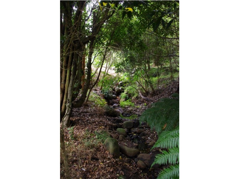 51 Garrads Lane, Milton NSW 2538