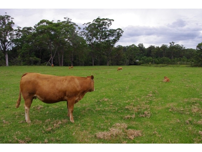 E1310 Princes Highway, Conjola NSW 2539