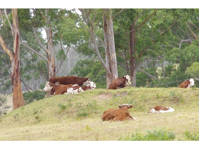 Lot 842 Woodburn Rd, Woodburn NSW 2538