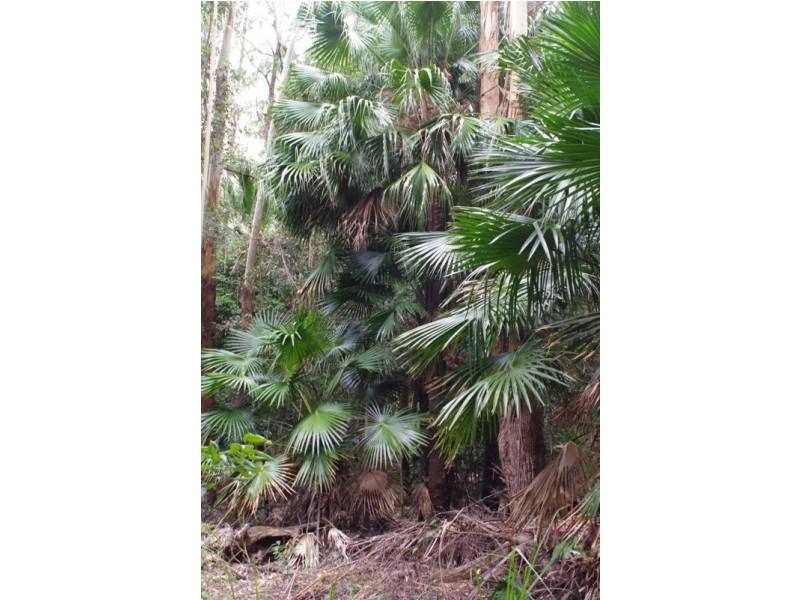 Lot 842 Woodburn Rd, Woodburn NSW 2538