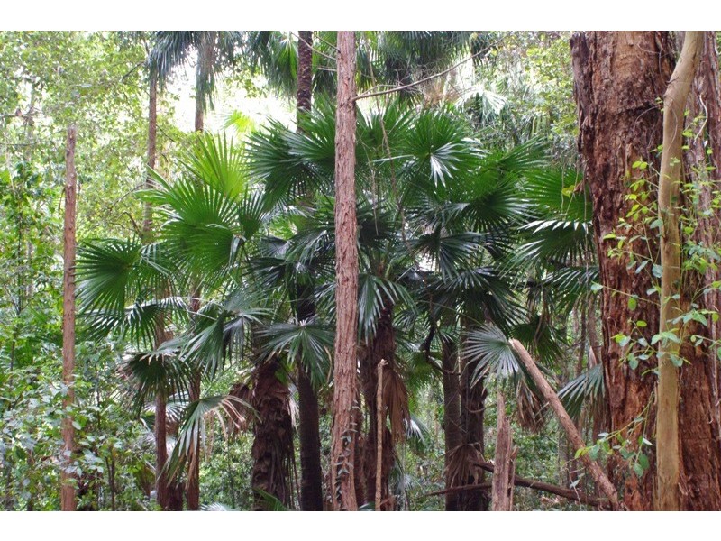 Lot 842 Woodburn Rd, Woodburn NSW 2538