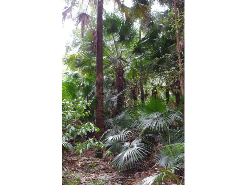 Lot 842 Woodburn Rd, Woodburn NSW 2538