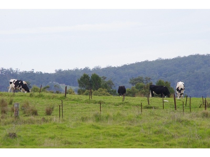 171 Little Forest Road, Little Forest NSW 2538