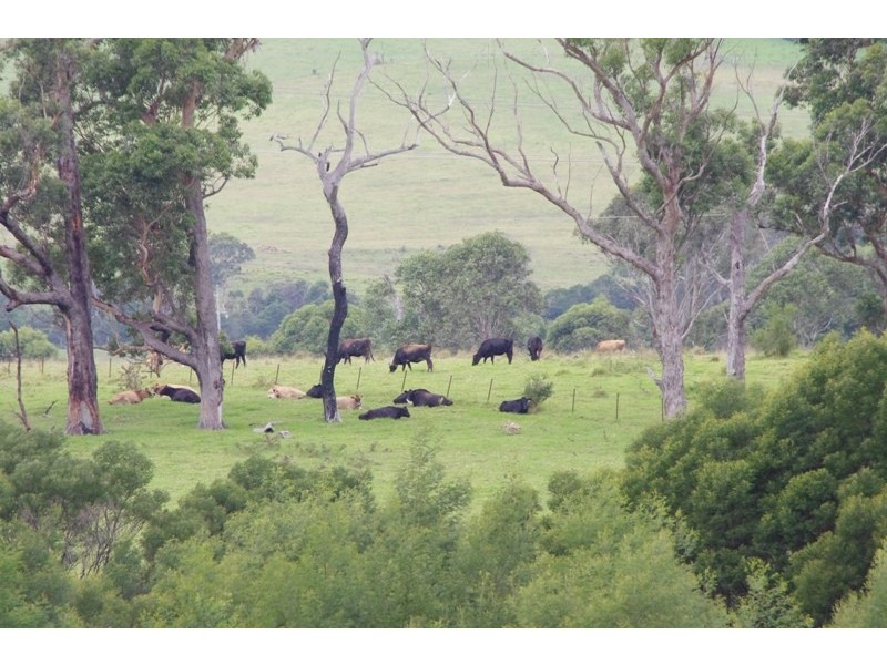 171 Little Forest Road, Little Forest NSW 2538