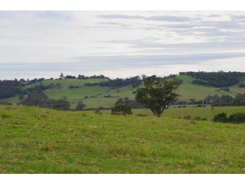 171 Little Forest Road, Little Forest NSW 2538