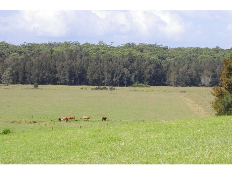 Lots 14+15 Garrads Lane, Milton NSW 2538