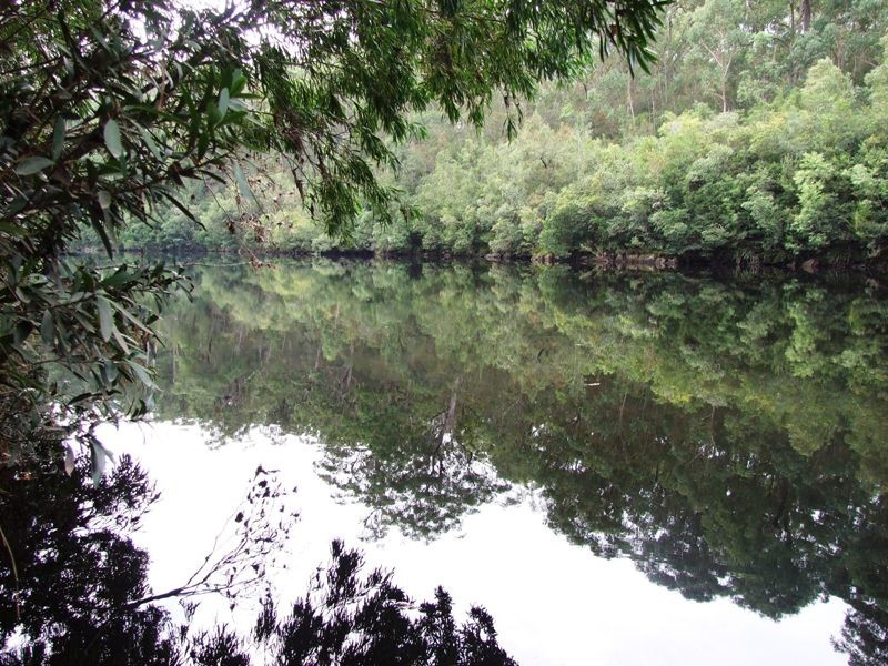 406 Backhouses Forest Road, Shallow Crossing, Brooman NSW 2538